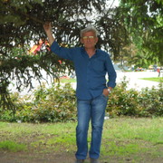 -,   , 66 ,   ,   , c 