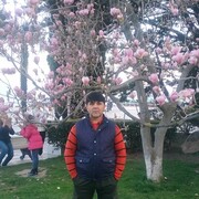  ,   , 54 ,   ,   