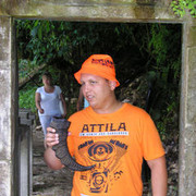 ,   , 44 ,  