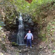   ,   , 54 ,   c 