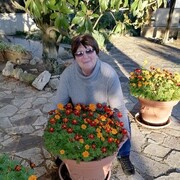  Capena,   Olga, 60 ,   ,   