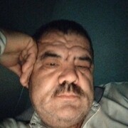 ,  Boss, 49