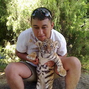  ,   Timur, 39 ,   ,   , c , 