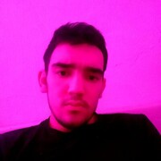 ���������� ���������, ���� ����� DEMINO, 24 ����, ������������ ��� ������, ����� � ���������