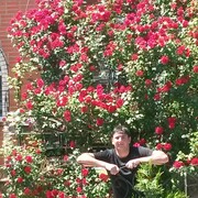 ���������� ������������, ���� ������� �������, 38 ���, ������������ ��� ������, ����� � ���������, c�������� ���������