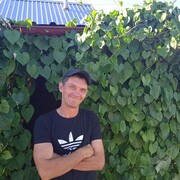  ,   , 45 ,   