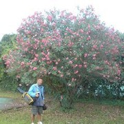 ���������� ������, ���� ������� ���, 69 ���, ������������ ��� ����� � ���������, c�������� ���������