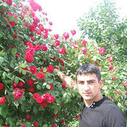  ,   Tigran, 33 ,   