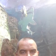 ,   , 36 ,     , c 