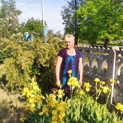  ,   , 52 ,   c 