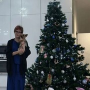 ���������� �����-���������, ����