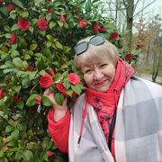 ���������� ������������, ���� ������� ������, 53 ����, ������������ ��� ����� � ���������, c�������� ���������