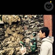 ���������� ���������, ���� ������� ������, 31 ���, ������������ ��� ������, ����� � ���������, c�������� ���������