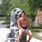  ,   Den, 43 ,   , 