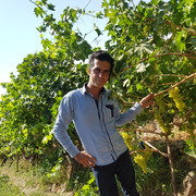  ,   Mohammad, 38 ,   ,   , c 