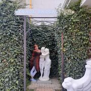 ���������� �����������, ���� ������� �������, 62 ����, ������������ ��� c�������� ���������