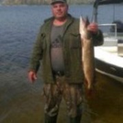 ���������� ����, ���� ������� ������, 46 ���, ������������ ��� ����� � ���������, c�������� ���������