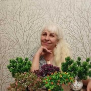   ,   , 66 ,   ,   , 