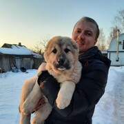 ���������� ���������, ���� ������� �����, 37 ���, ������������ ��� ����� � ���������, c�������� ���������