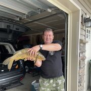 ���������� ���������, ���� ������� �������, 55 ���, ������������ ��� ������, ����� � ���������, c�������� ���������