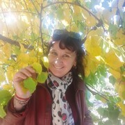 ���������� ���������������, ���� ������� �����, 51 ���, ������������ ��� ����� � ���������, ���������