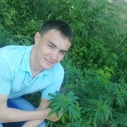 ���������� ��������, ���� ������� ����, 33 ����, ������������ ��� ������, ����� � ���������, c�������� ���������