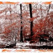 ���������� �������, ���� ������� Akaki, 45 ���, ������������ ��� ������