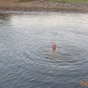 ���������� �������, ������� sergei, 38