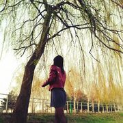 ,   , 28 ,   ,   , 