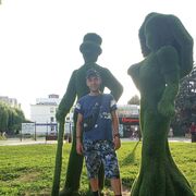  ,   , 41 ,   ,   