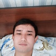  ,   Sultan, 33 ,   ,   , c 