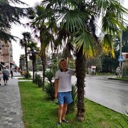 ���������� ������, ���� ������� ����, 43 ����, ������������ ��� c�������� ���������