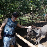 ���������� ������, ���� ������� Ramin, 40 ���, ������������ ��� ������, ����� � ���������, c�������� ���������