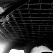 ���������� ���������, ���� ������� �����, 36 ���, ������������ ��� c�������� ���������