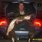 ���������� �����, ���� ������� ������ �����, 48 ���, ������������ ��� ������, ����� � ���������, c�������� ���������