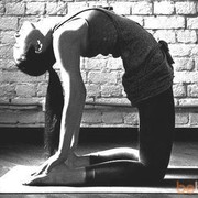  -,   , 38 ,   ,   , c , 