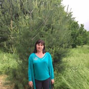   ,   , 52 ,  