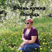  ,   , 51 ,   ,   , c , 