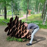  ,   , 36 ,   ,   , c 