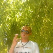  -,   , 33 ,  