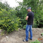 ���������� ������, ���� ������� ������, 42 ����, ������������ ��� ������, ����� � ���������, c�������� ���������