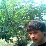  ,   Aslon, 33 ,   