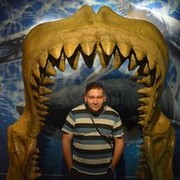  -,   , 38 ,   ,   , c 