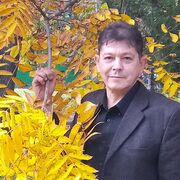 ���������� ���������, ���� ������� �����, 50 ���, ������������ ��� c�������� ���������