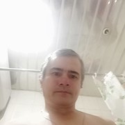  -,   , 51 ,   ,   , c 