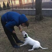  -,   , 38 ,     , c 