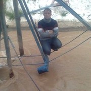  ,   , 43 ,   