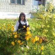  ,   , 66 ,   ,   