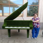  ,   , 35 ,   