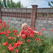 ���������� �����������, ���� ������� ������, 70 ���, ������������ ��� ������, ����� � ���������